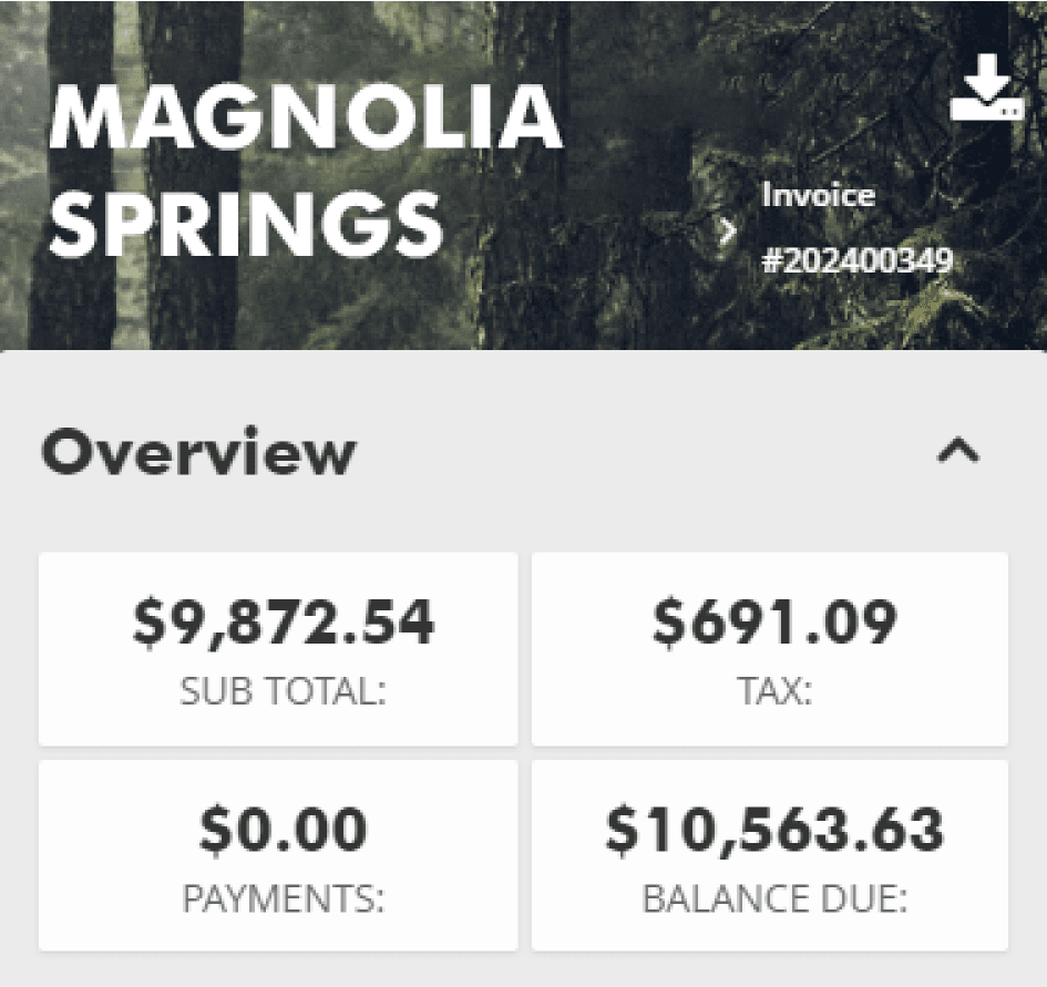 Invoicing Details@3x
